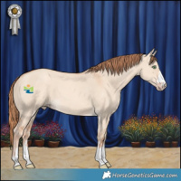 Horse Color:Gold Champagne Dun 