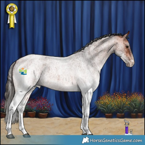 Horse Color:White Spotted Bay Roan 