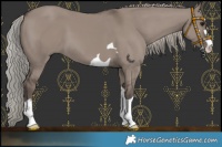 Horse Color:Silver Grullo 