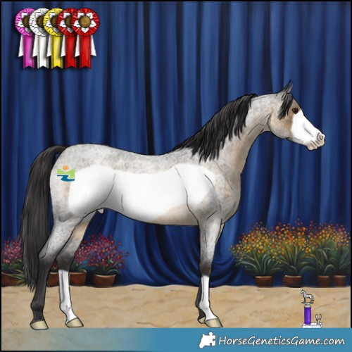 Horse Color:Buckskin Roan Frame 