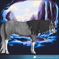 Horse Color:Blue Roan Splash