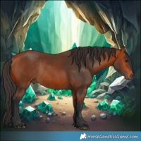 Horse Color:Bay Rabicano