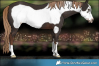 Horse Color:Liver Chestnut Frame 