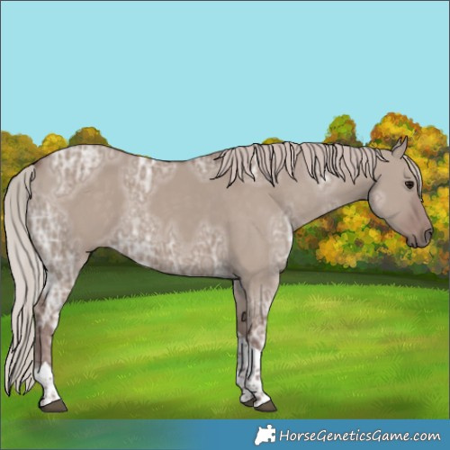 Horse Color:Chocolate Silver Grullo Ice Tobiano 