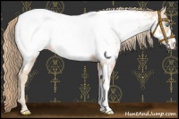 Horse Color:Perlino Near Fewspot 