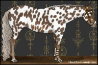 Horse Color:Silver Smoky Black Sabino Near Leopard 