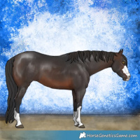 Horse Color:Brown 