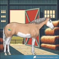 Horse Color:Silver Amber Champagne Splash 