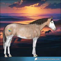 Horse Color:Amber Champagne Splash Rabicano 