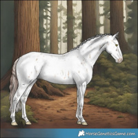 Horse Color:Sable Champagne Dun Leopard  and Sable Champagne Dun Fewspot 