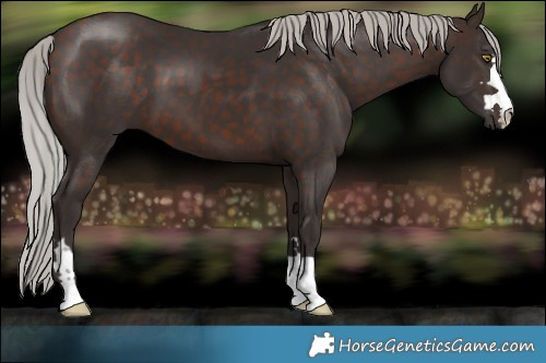 Horse Color:Silver Brown 