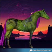 Horse Color:ERROR: UNKNOWN ANOMALY
