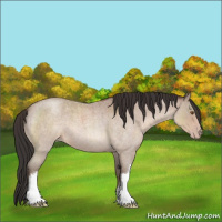 Horse Color:Sable Champagne Roan