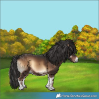 Horse Color:Liver Red Onyx 
