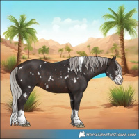 Horse Color:White Spotted Silver Brown Sabino Splash 