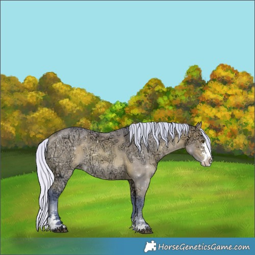 Horse Color:Watercolor Silver Bay Ice Dun Sabino 