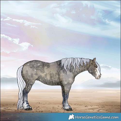 Horse Color:Watercolor Silver Bay Ice Dun Sabino 