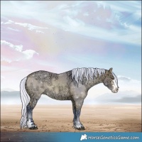 Horse Color:Watercolor Silver Bay Ice Dun Sabino