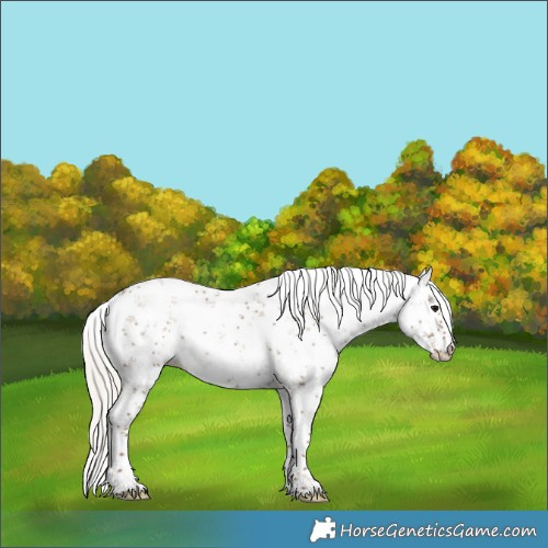 Horse Color:Silver Grullo Sabino 