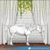 Horse Color:Silver Grullo Sabino 