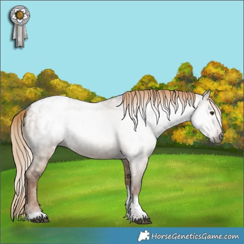 Horse Color:Gray Liver Red Dun Tobiano Appaloosa Rabicano 