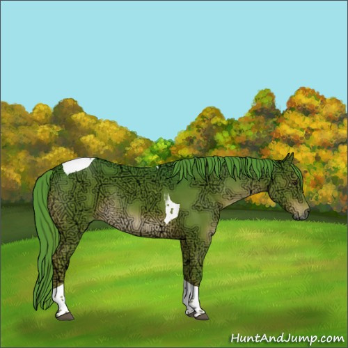 Horse Color:Watercolor Liver Chestnut Ice Tobiano Rabicano 