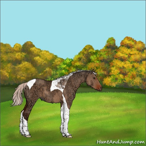 Horse Color:Silver Brown Ice Dun Tobiano 