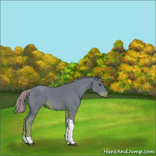 Horse Color:Watercolor Liver Chestnut Tobiano Rabicano 