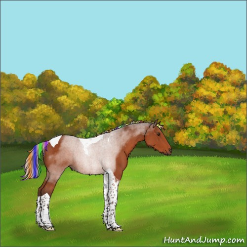 Horse Color:Painted Silver Brown Tobiano Rabicano 