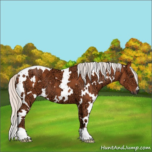 Horse Color:White Spotted Silver Bay Ice 