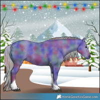 Horse Color:Nacre Watercolor Silver Black Tobiano 