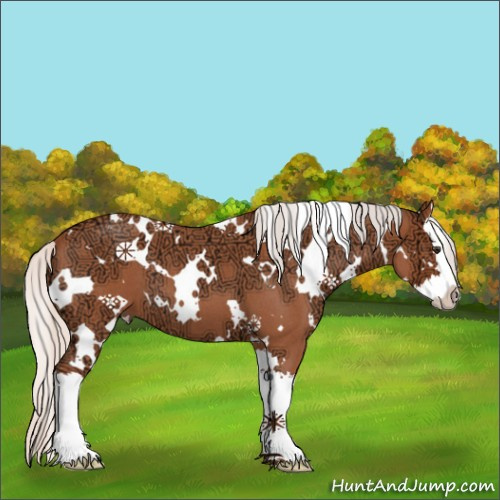 Horse Color:White Spotted Silver Bay Ice Roan Splash 