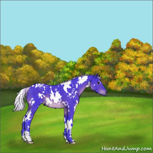 Horse Color:Watercolor White Spotted Silver Brown 