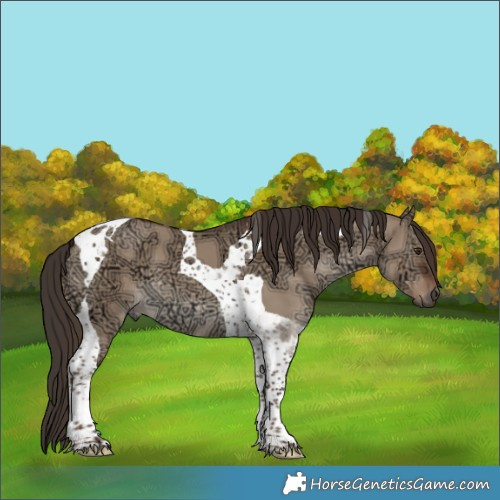 Horse Color:Liver Red Dun Ice Tobiano 