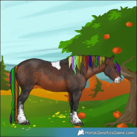 Horse Color:Painted Brown Sabino Tobiano