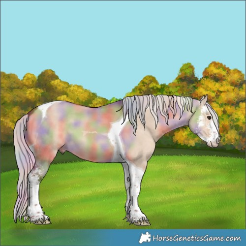 Horse Color:Nacre Silver Bay Dun Sabino Tobiano 