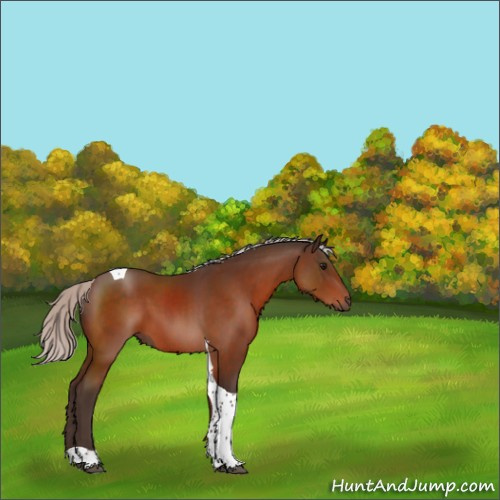 Horse Color:Silver Bay Tobiano 