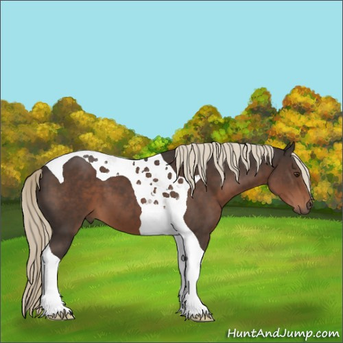 Horse Color:Liver Chestnut Tobiano 