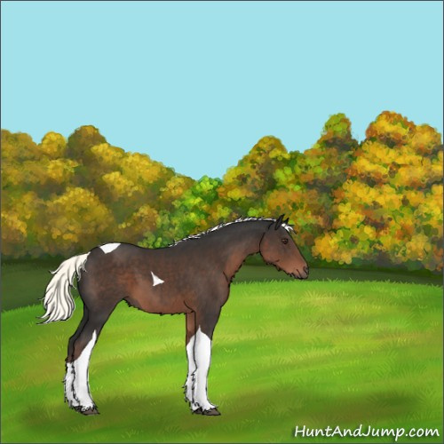 Horse Color:Liver Chestnut Mushroom Tobiano 