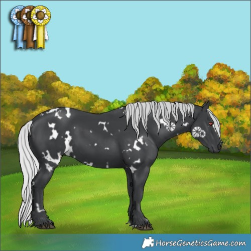 Horse Color:White Spotted Silver Black Chinchilla 