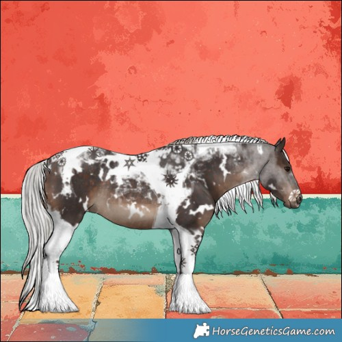 Horse Color:White Spotted Silver Brown Tobiano Rabicano 