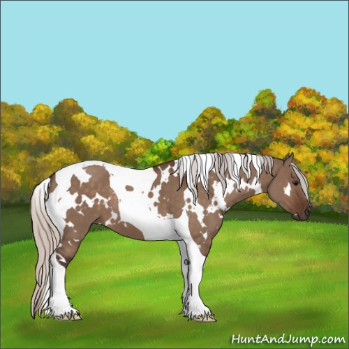 Horse Color:White Spotted Silver Brown Dun Tobiano 