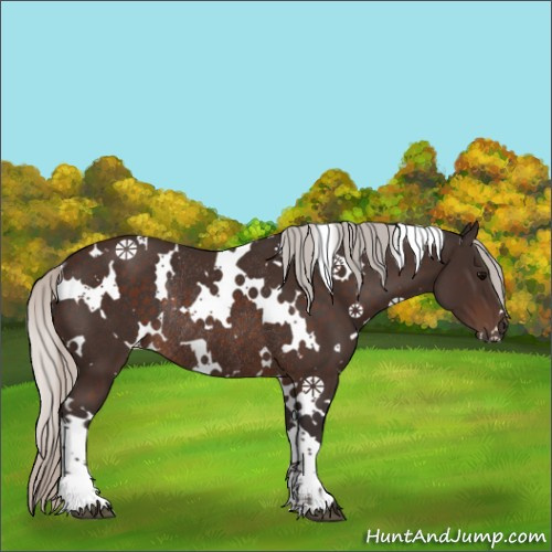 Horse Color:White Spotted Silver Brown Rabicano 