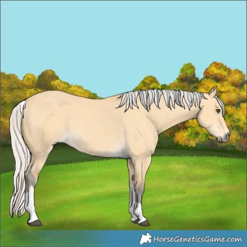 Horse Color:Silver Buckskin Dun Tobiano 