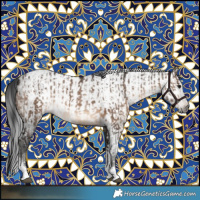 Horse Color:Brown Dun Tobiano Frame Rabicano  and Gray Brown Tobiano Rabicano 