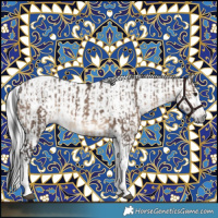 Horse Color:Brown Dun Tobiano Frame Rabicano  and Gray Brown Tobiano Rabicano 