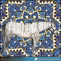 Horse Color:Brown Dun Tobiano Frame Rabicano and Gray Brown Tobiano Rabicano