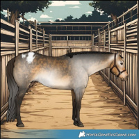 Horse Color:Gray Buckskin Dun Varnish 