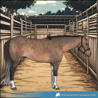 Horse Color:Brown Dun Tobiano Rabicano 