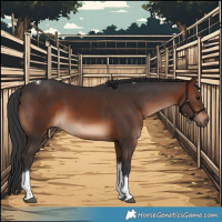 Horse Color:Brown Tobiano 
